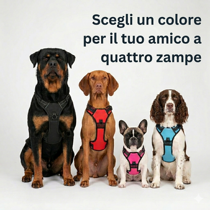 Minoa™ Pettorina anti-tiro