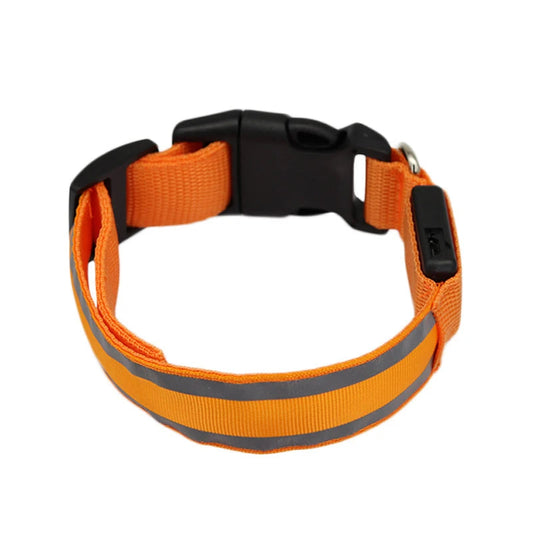 Minoa™ Collare luminoso