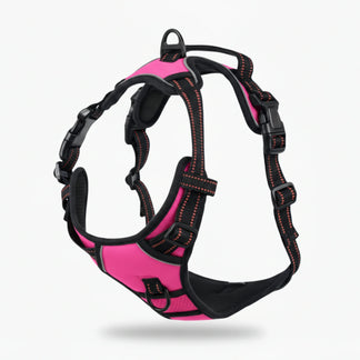 Minoa™ Pettorina anti-tiro