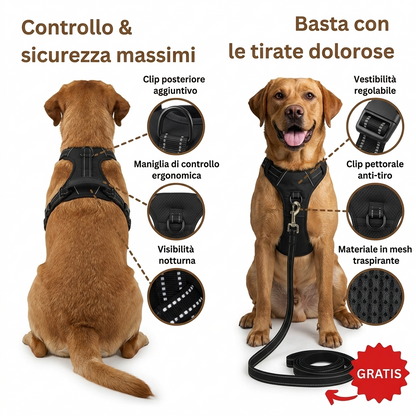 Minoa™ Pettorina anti-tiro