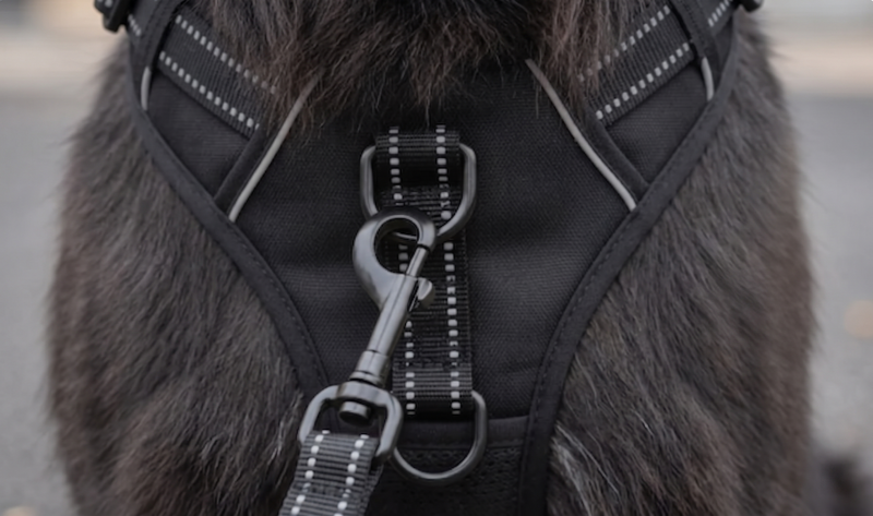 CLIP ANTI-TIRO SUL PETTO