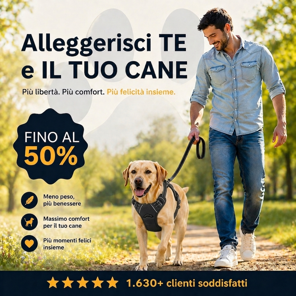 Minoa™ Pettorina anti-tiro